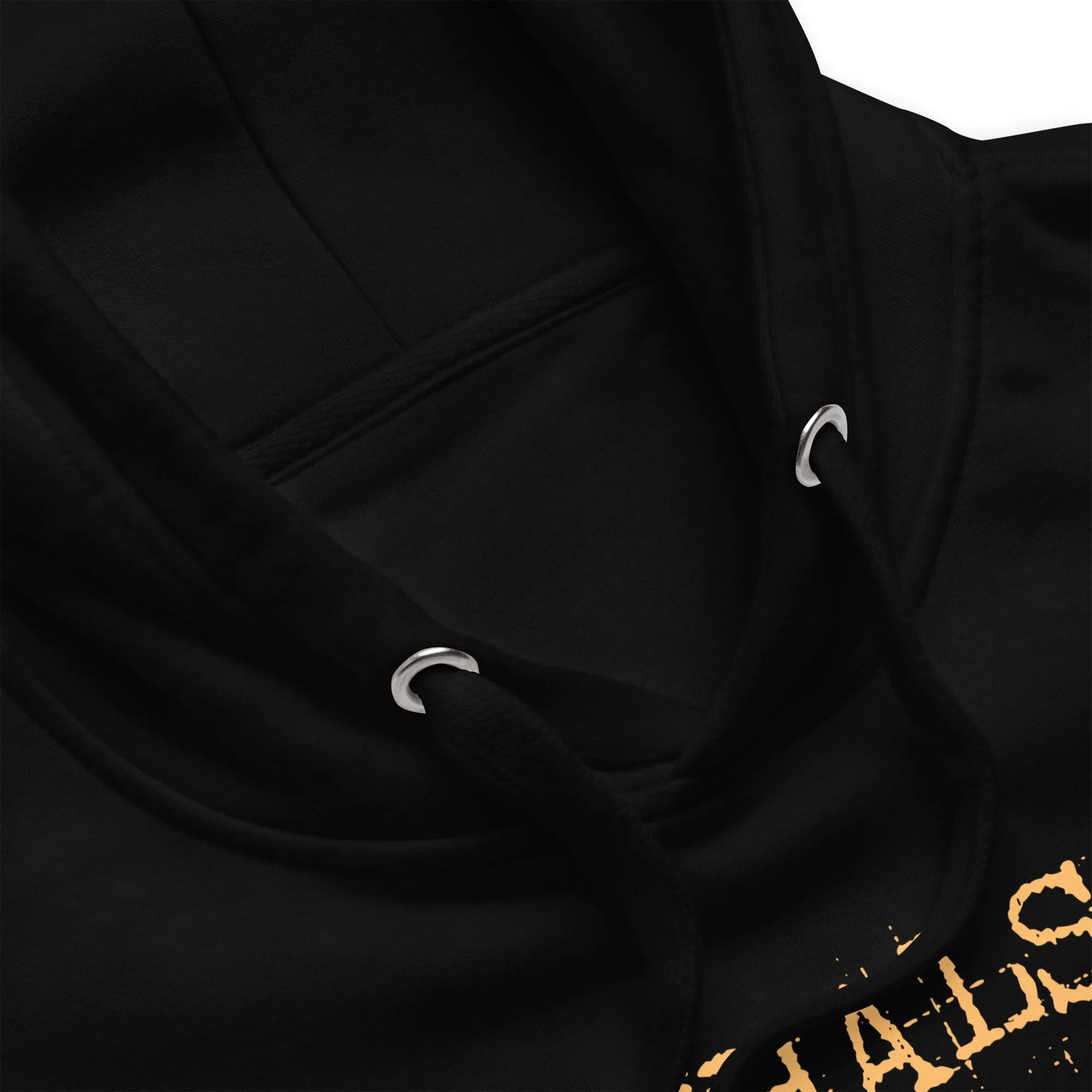 Khalsa warriors Unisex Hoodie