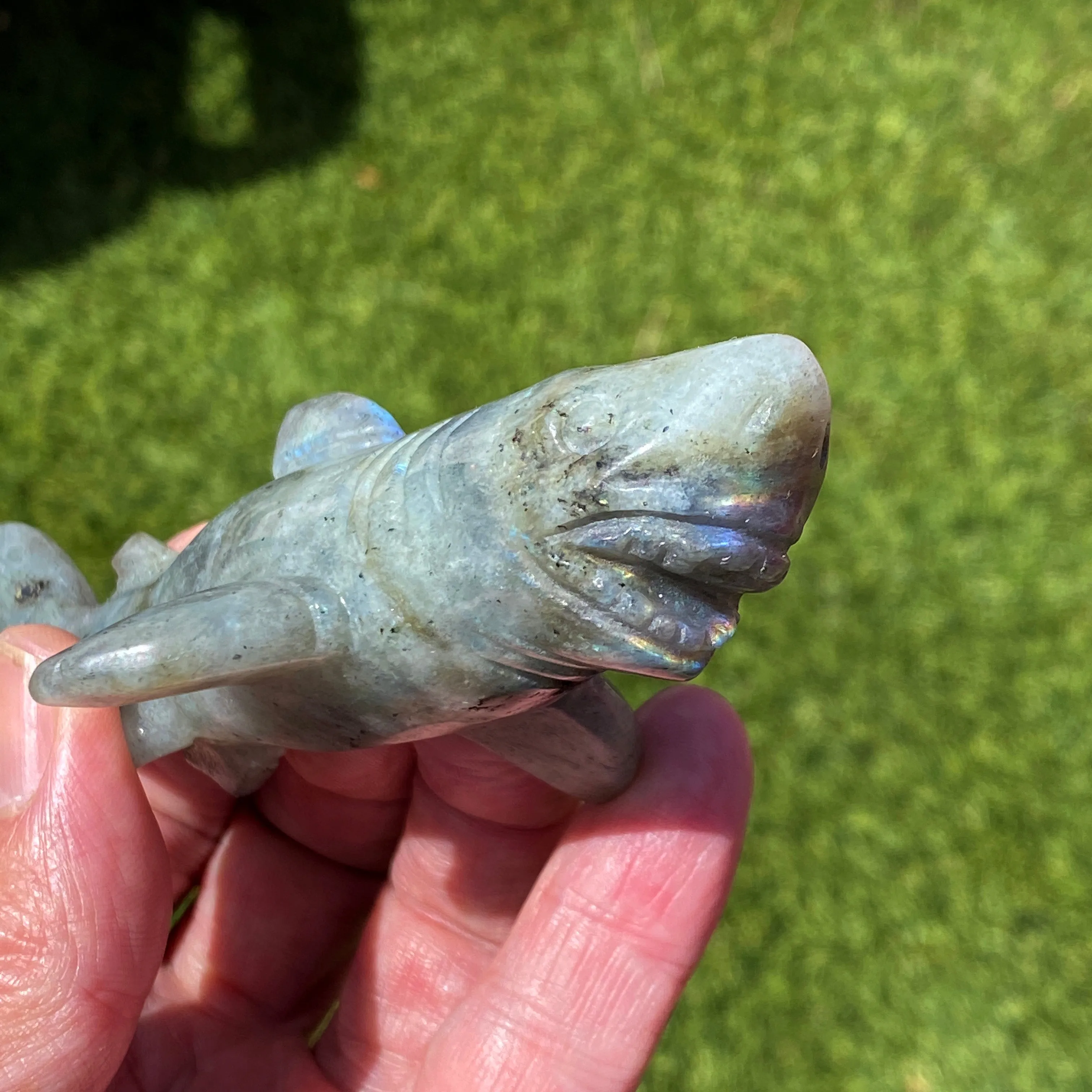 Labradorite gemstone carved Great White Shark Figurine