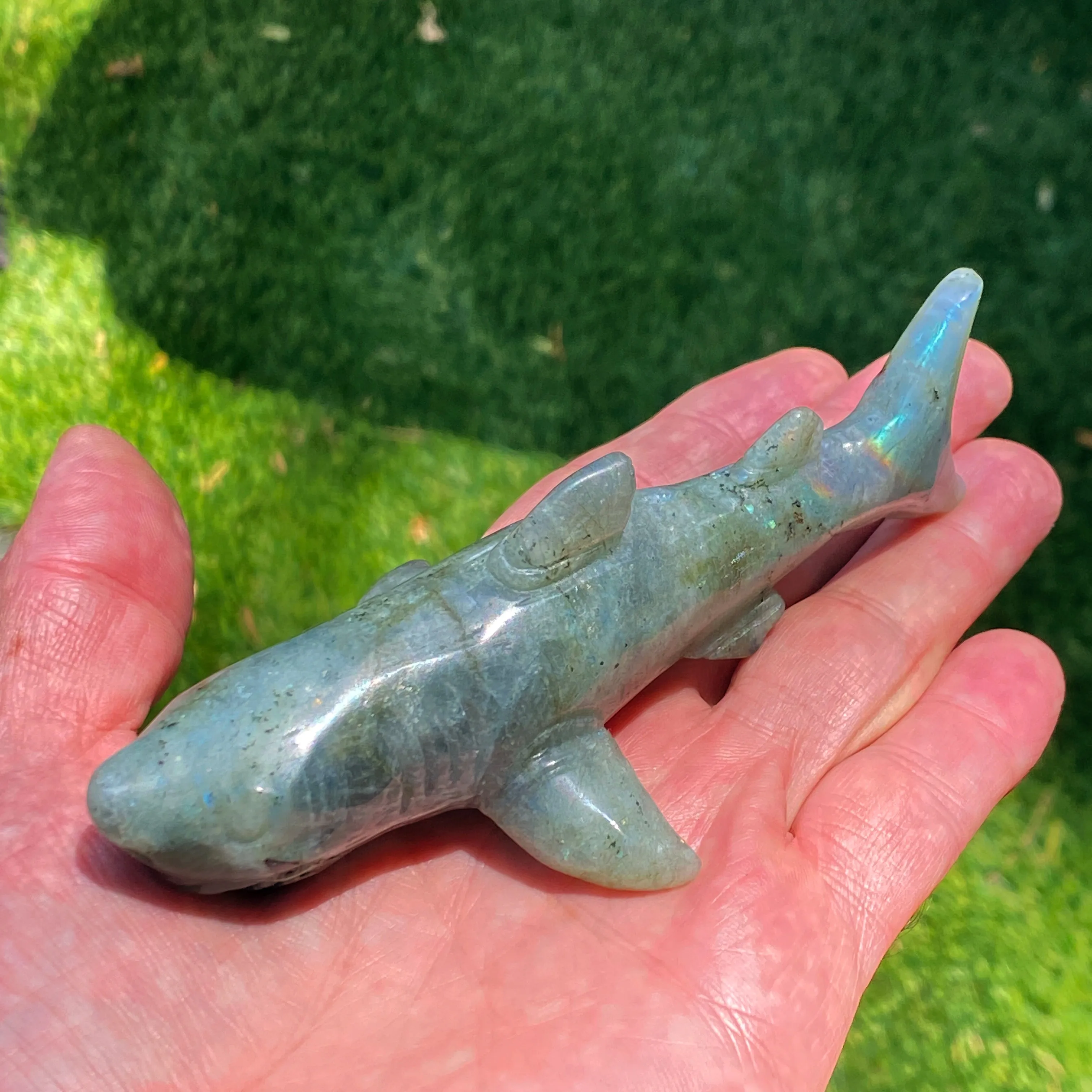 Labradorite gemstone carved Great White Shark Figurine