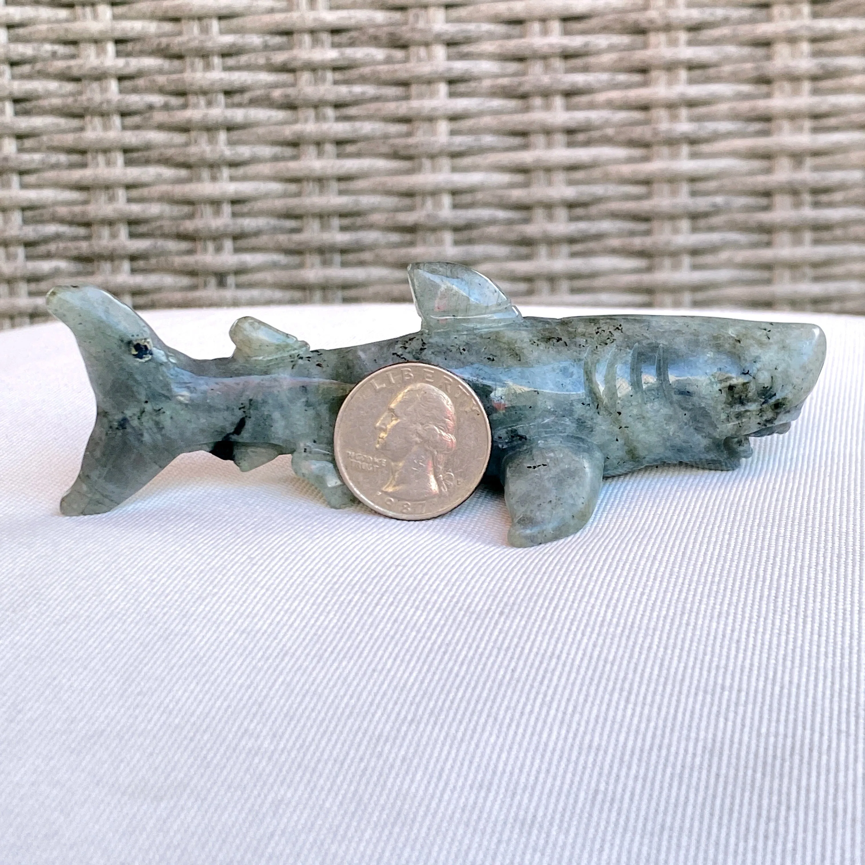 Labradorite gemstone carved Great White Shark Figurine