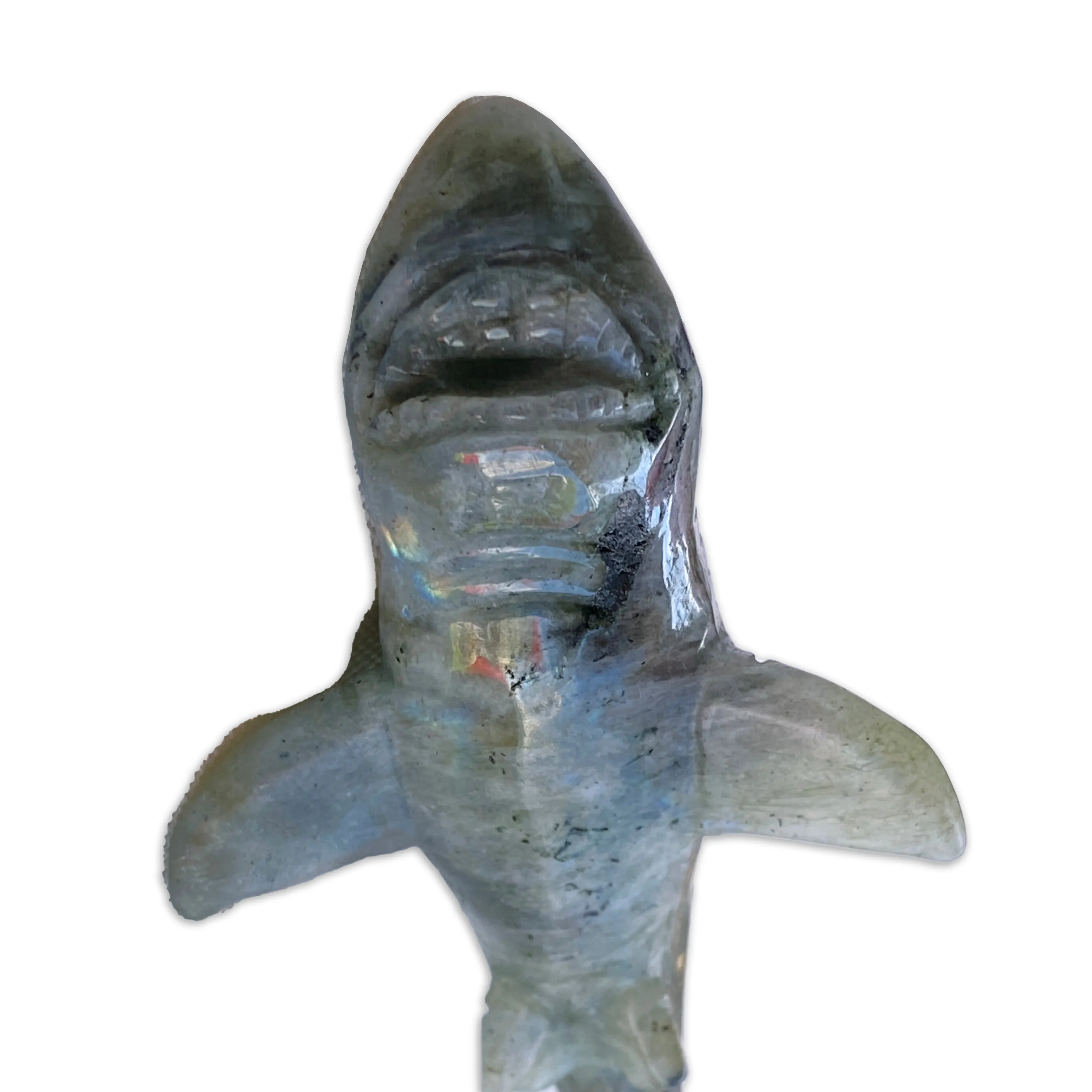 Labradorite gemstone carved Great White Shark Figurine