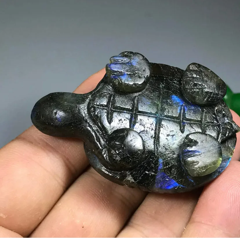 Natural Carved labradorite gemstone tortoise Reiki healing