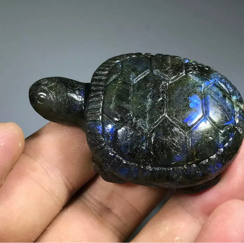 Natural Carved labradorite gemstone tortoise Reiki healing