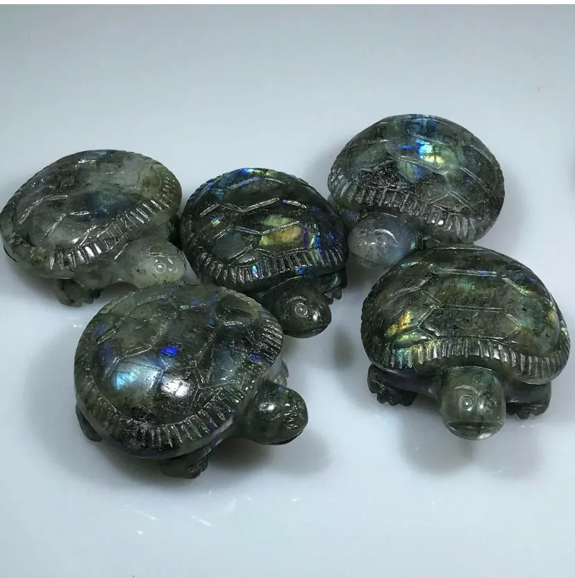 Natural Carved labradorite gemstone tortoise Reiki healing