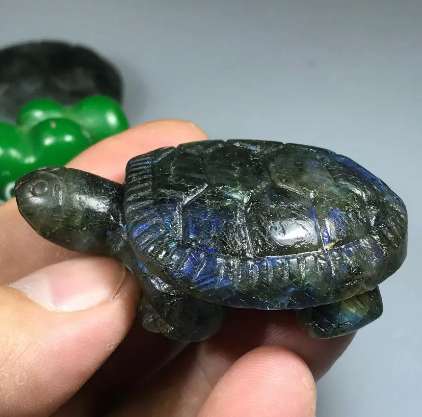 Natural Carved labradorite gemstone tortoise Reiki healing