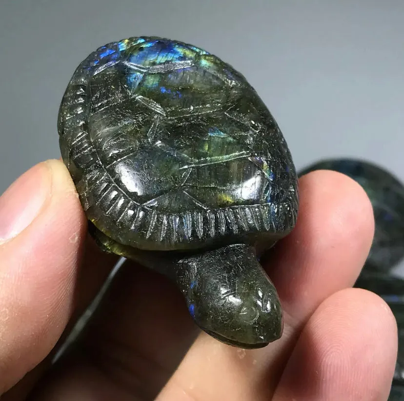 Natural Carved labradorite gemstone tortoise Reiki healing