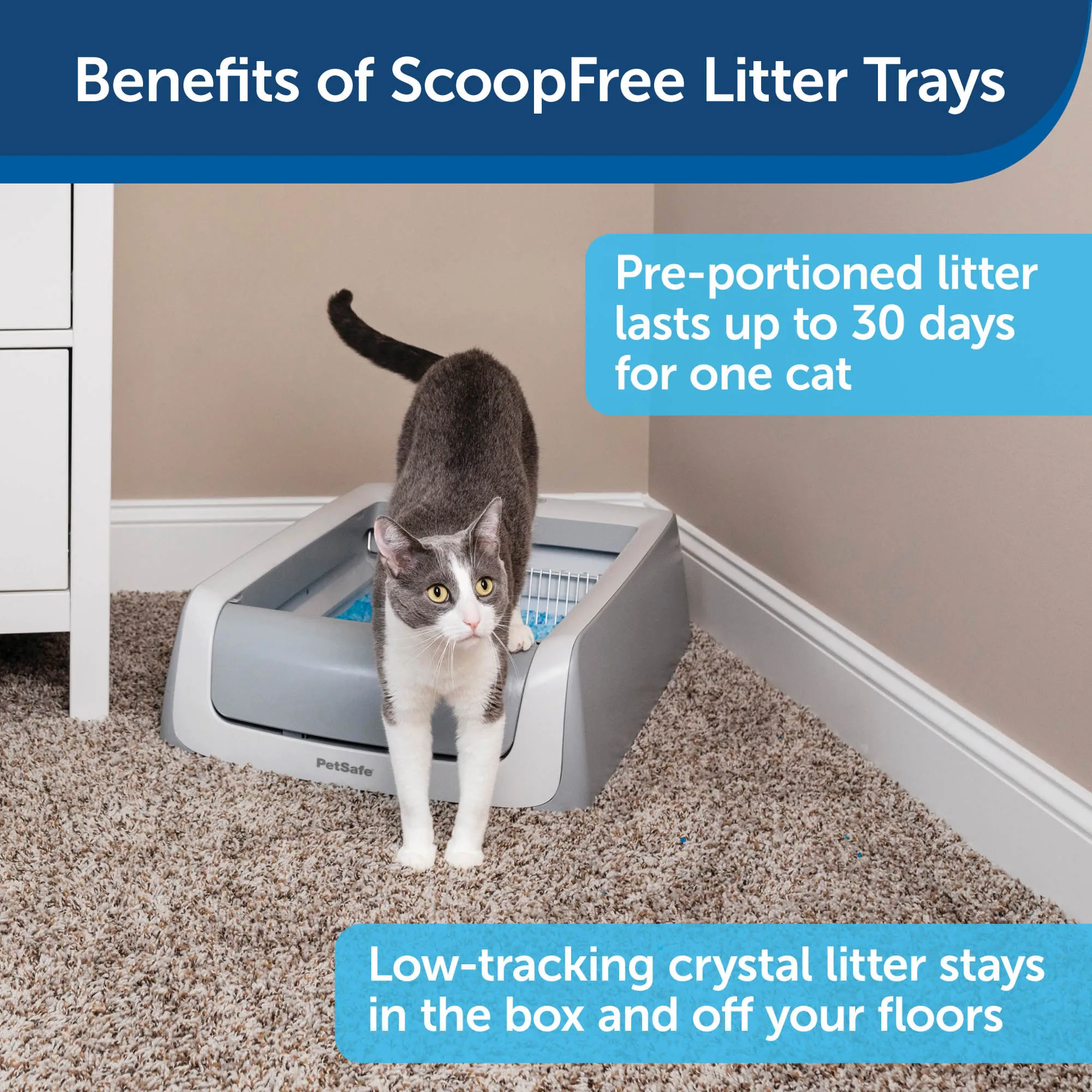 PetSafe ScoopFree Replacement Blue Crystal Litter Tray, 1-Pack – Easy Cleanup with Disposable Tray – Includes Leak Protection and Low Tracking Litter – Absorbs Odors on Contact